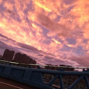 大全海报小鲤导航
