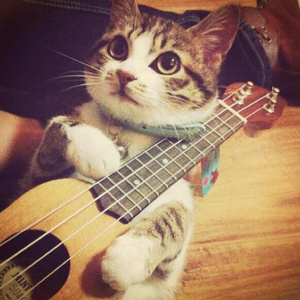 大全海报小鲤导航
